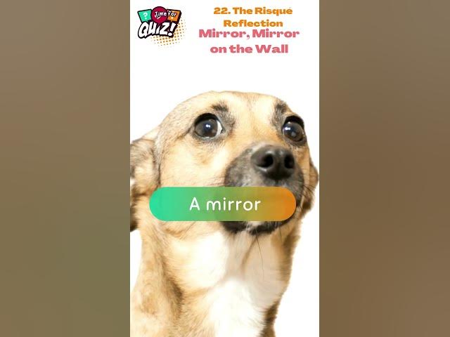 Video thumbnail for 🔥 25 Cheeky Riddles That'll Tickle Your Funny Bone! 😜 | Can You Handle the Wit? 22