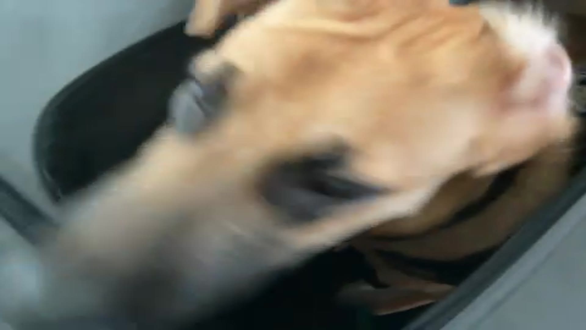 Video thumbnail for 77738927068 BD5681E7 ABFC 4398 AA91 5F173DF530F9