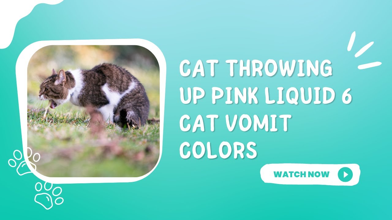 Video thumbnail for Cat Throwing Up Pink Liquid 6 Cat Vomit Colors