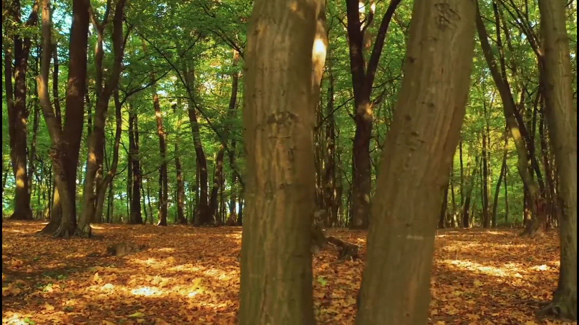 Video thumbnail for Beautiful places