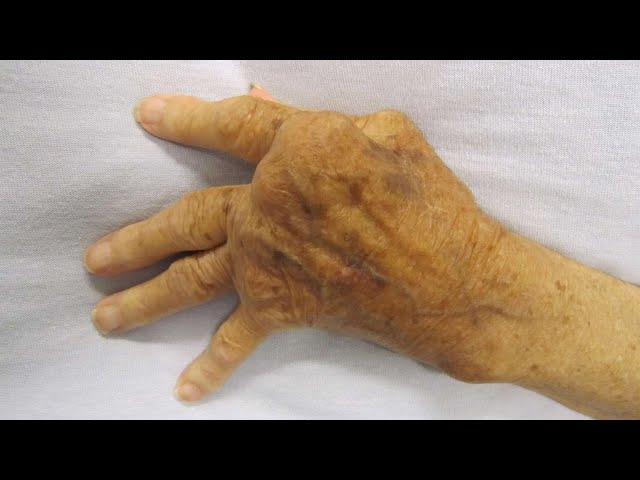 Video thumbnail for Archaeologist makes strange discovery in the jungle – he can hardly believe his eyes