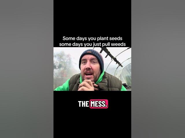 Video thumbnail for 🎥 ✅ 🌿 Some Days You Plant Seeds 🌱 Some Days You Pull Weeds 💚 | Gardening Motivation #Shorts