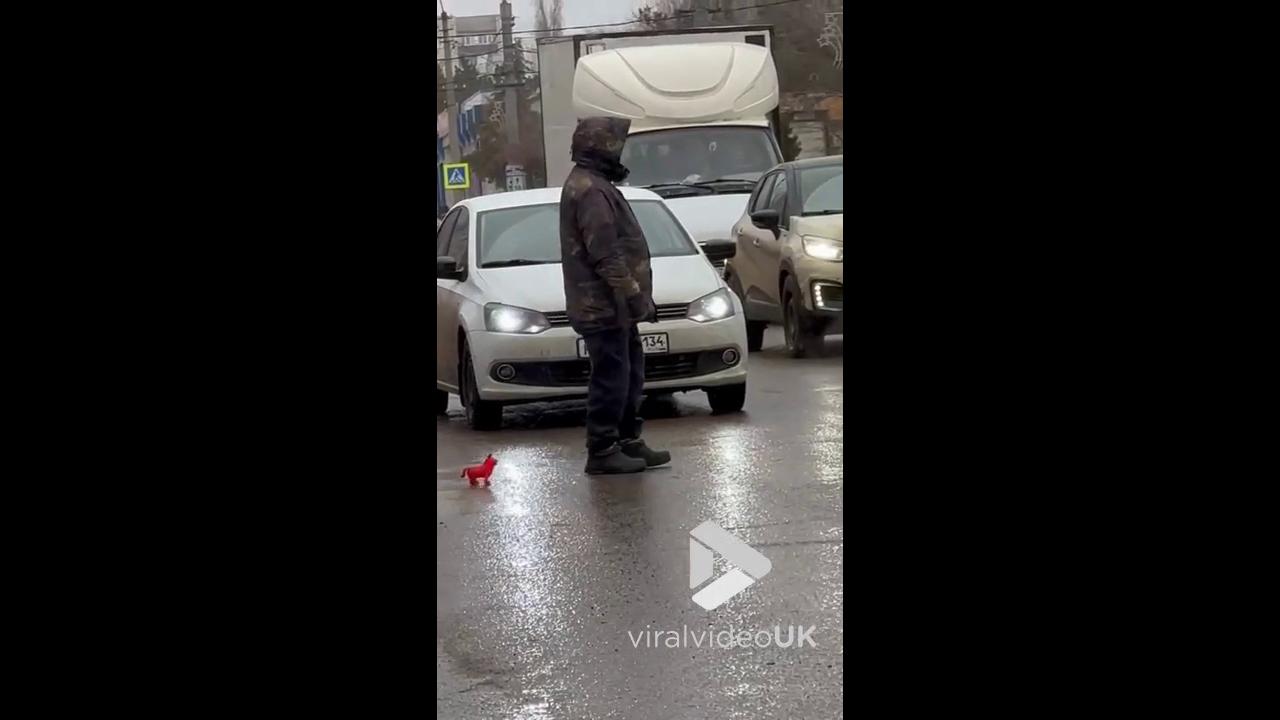 Video thumbnail for VV5065 Guy takes little red dog for a walk