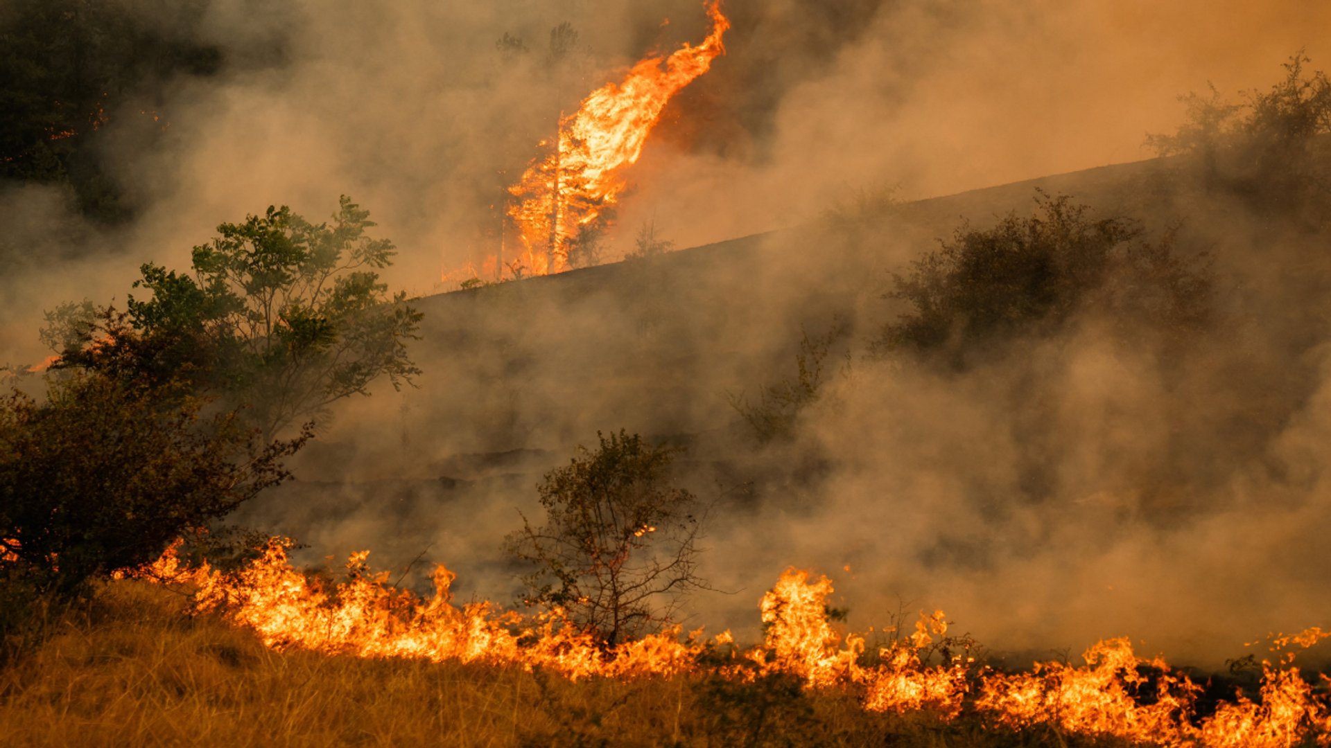 Video thumbnail for Europe wildfires intensify as Serbia and North Macedonia battle major blazes