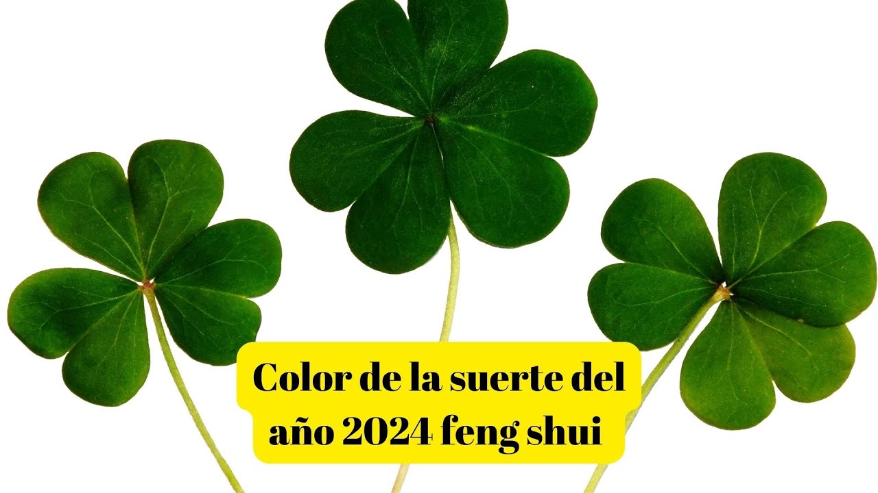 'Video thumbnail for Color de la suerte del año 2024 feng shui, video blog'