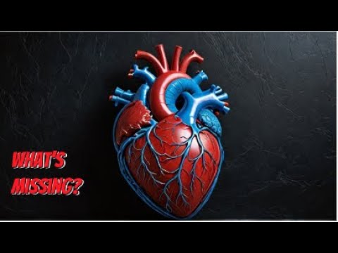 'Video thumbnail for Ontología en Ciencias Médicas Generales: Una Base Estructurada para el Conocimiento Médico'