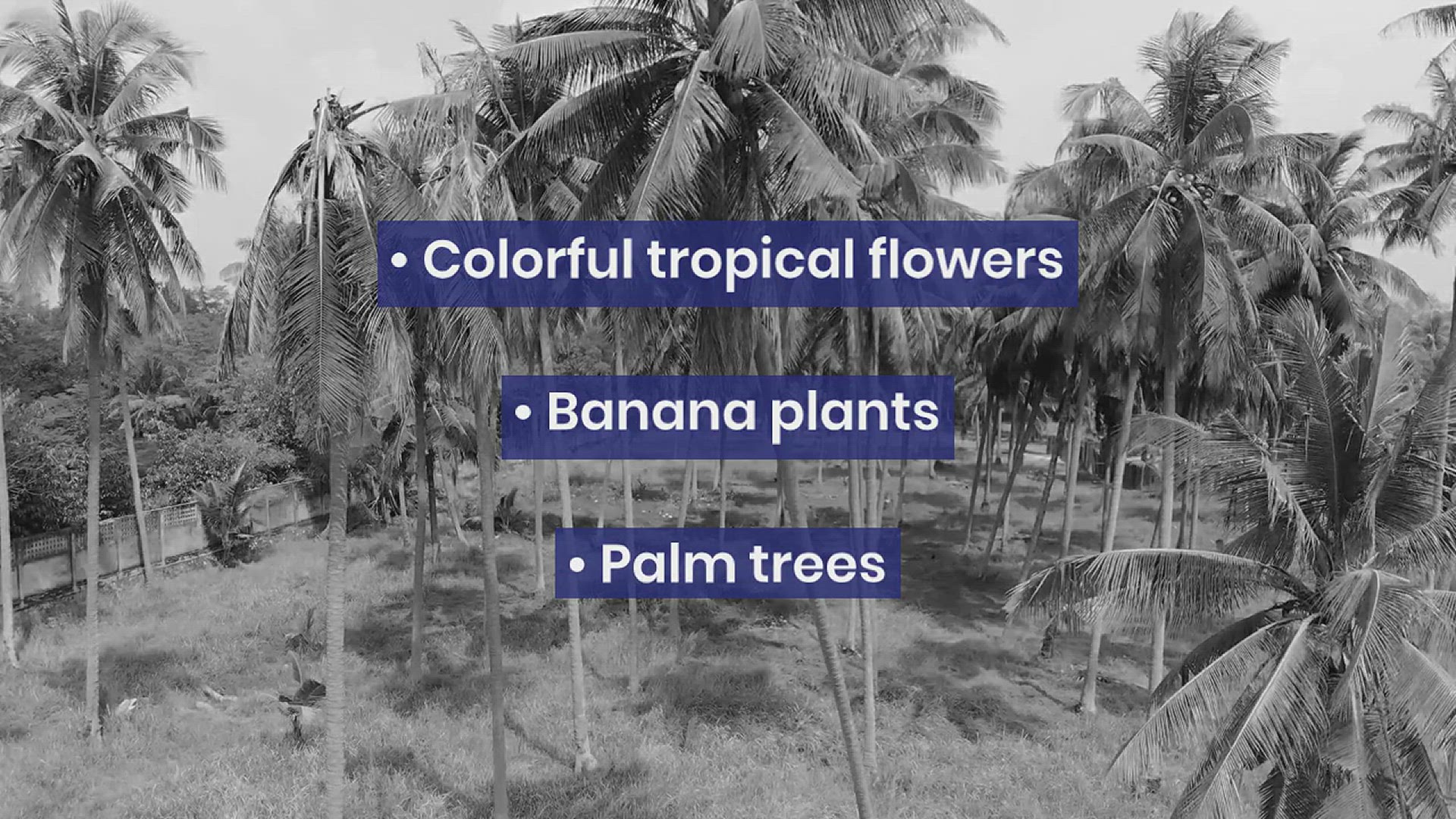 'Video thumbnail for Stunning Pool Landscaping Ideas'