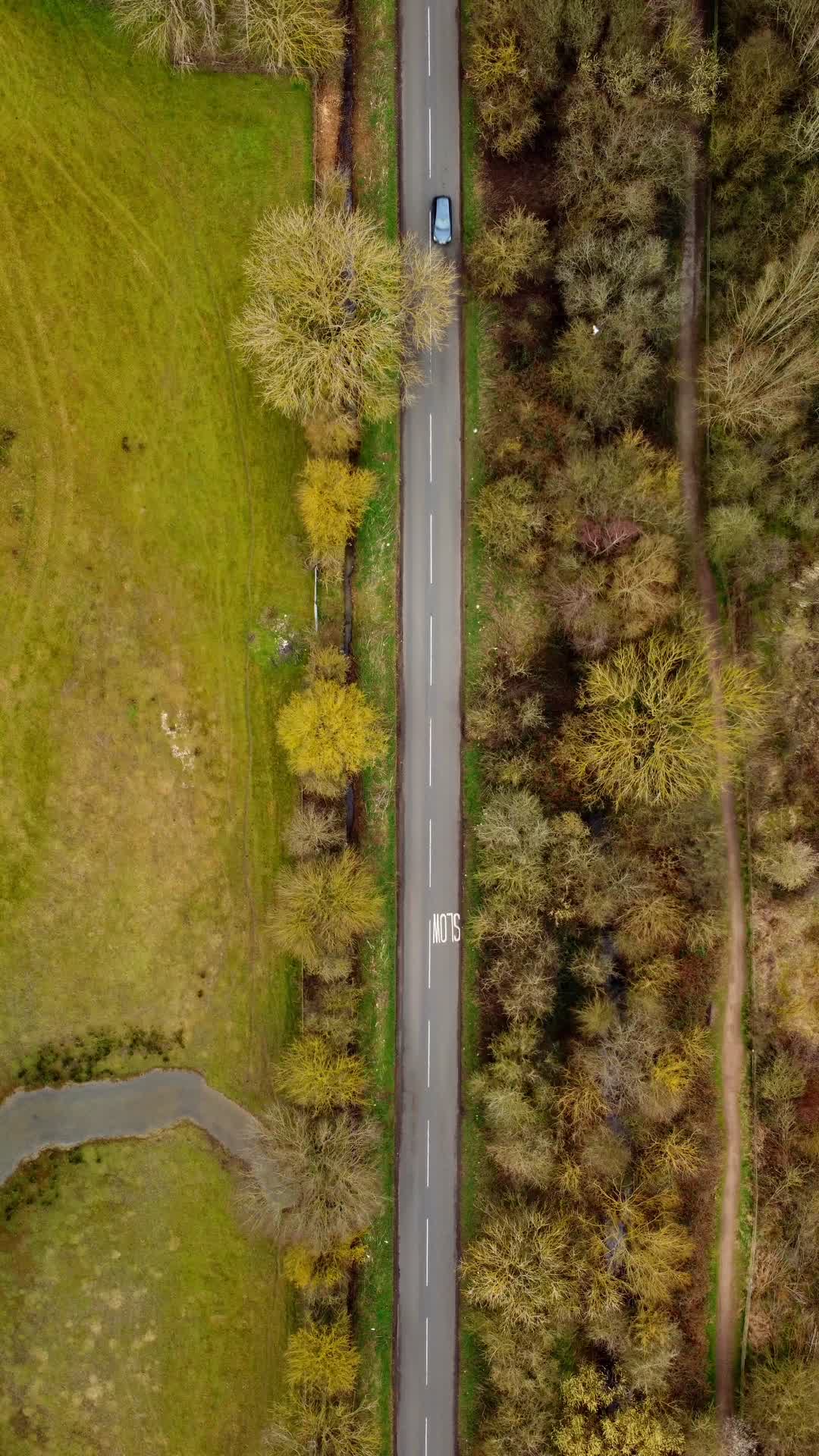 Video thumbnail for Nature test