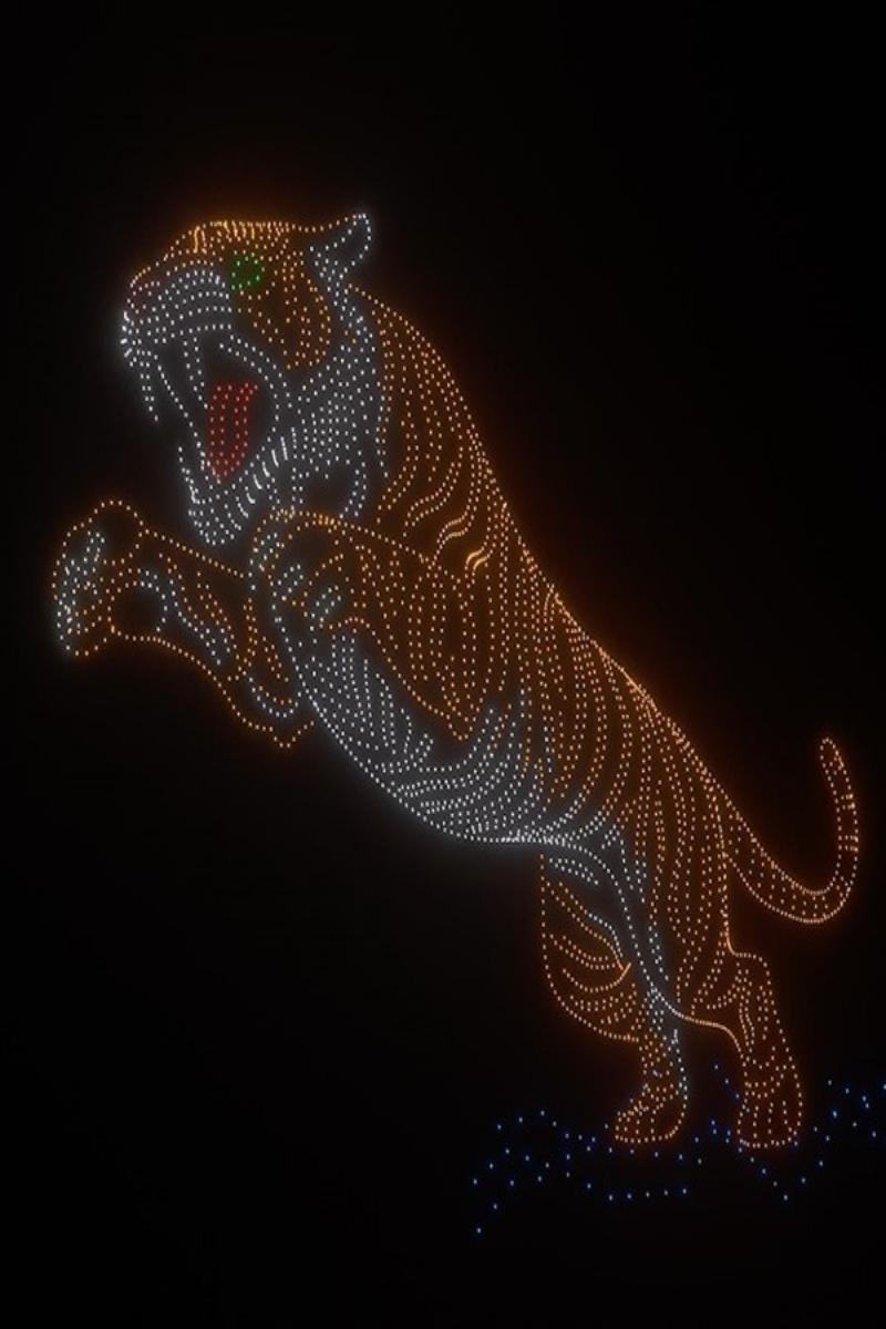 Video thumbnail for Largest aerial image of a mammal, 2,983 drones by Chamundeshwari Electricity Supply Corporation Ltd., Mysore & Karnataka Energy Department.