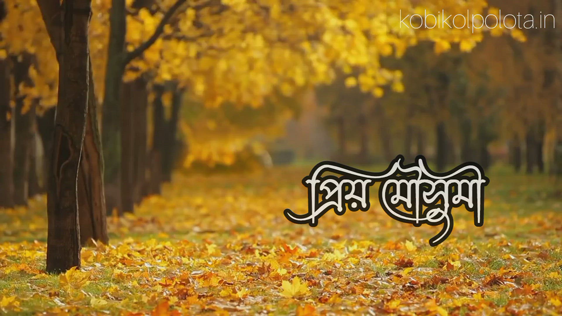 Video thumbnail for Bengali Poem Book Bangla Kobita কবিতা আবৃত্তি "প্রিয় মৌসুমী" রচনা সুপ্রিয় দত্ত