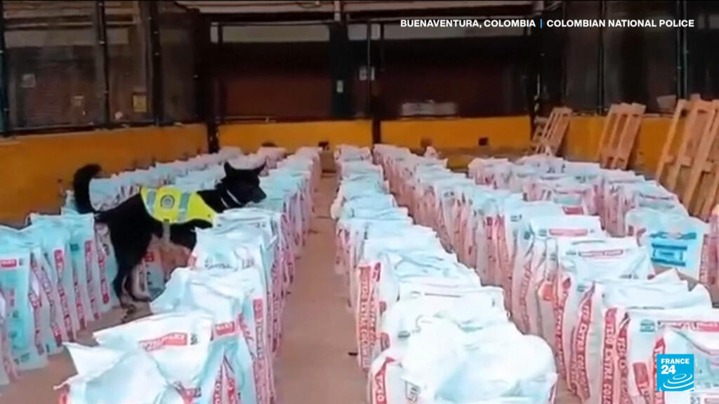 Video thumbnail for 14 tonnes of cocaine seized in Colombia, as Petro rejects US criticism