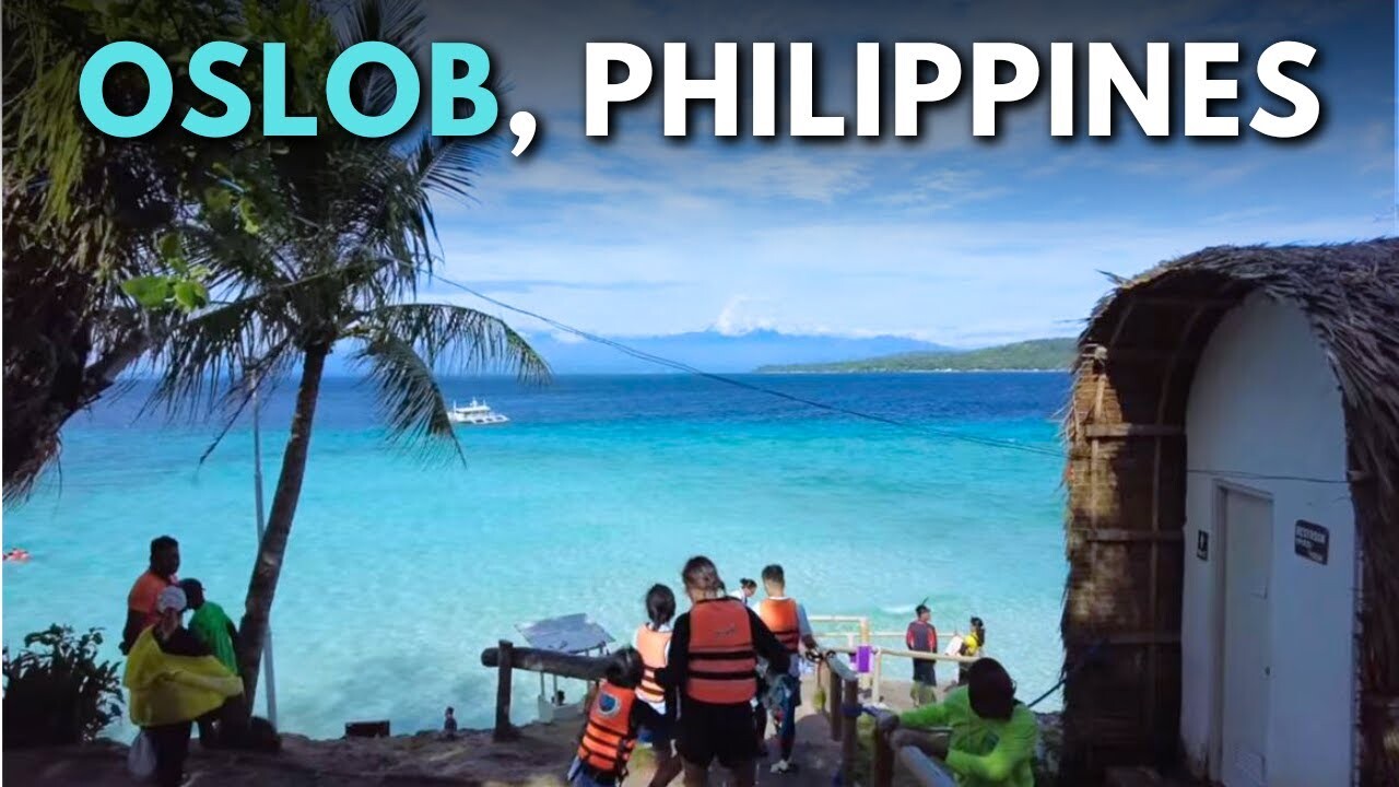 Video thumbnail for Oslob Cebu Travel Guide: Whale Sharks Waterfalls & Beaches