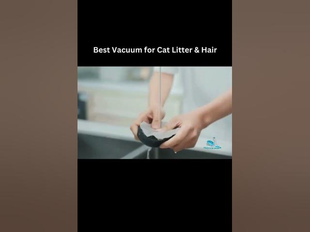 Video thumbnail for Best Vacuum for Cat Litter and Hair #Short