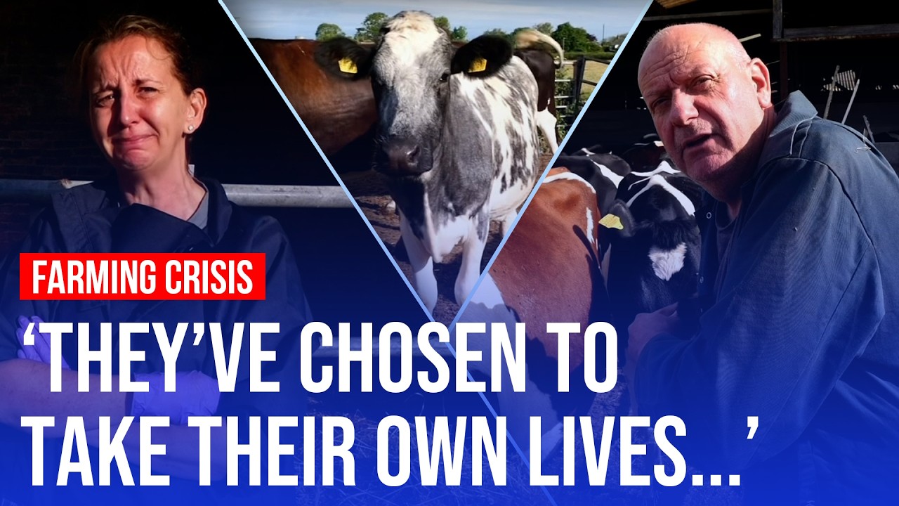 Video thumbnail for How the drastic weather is impacting British farmers