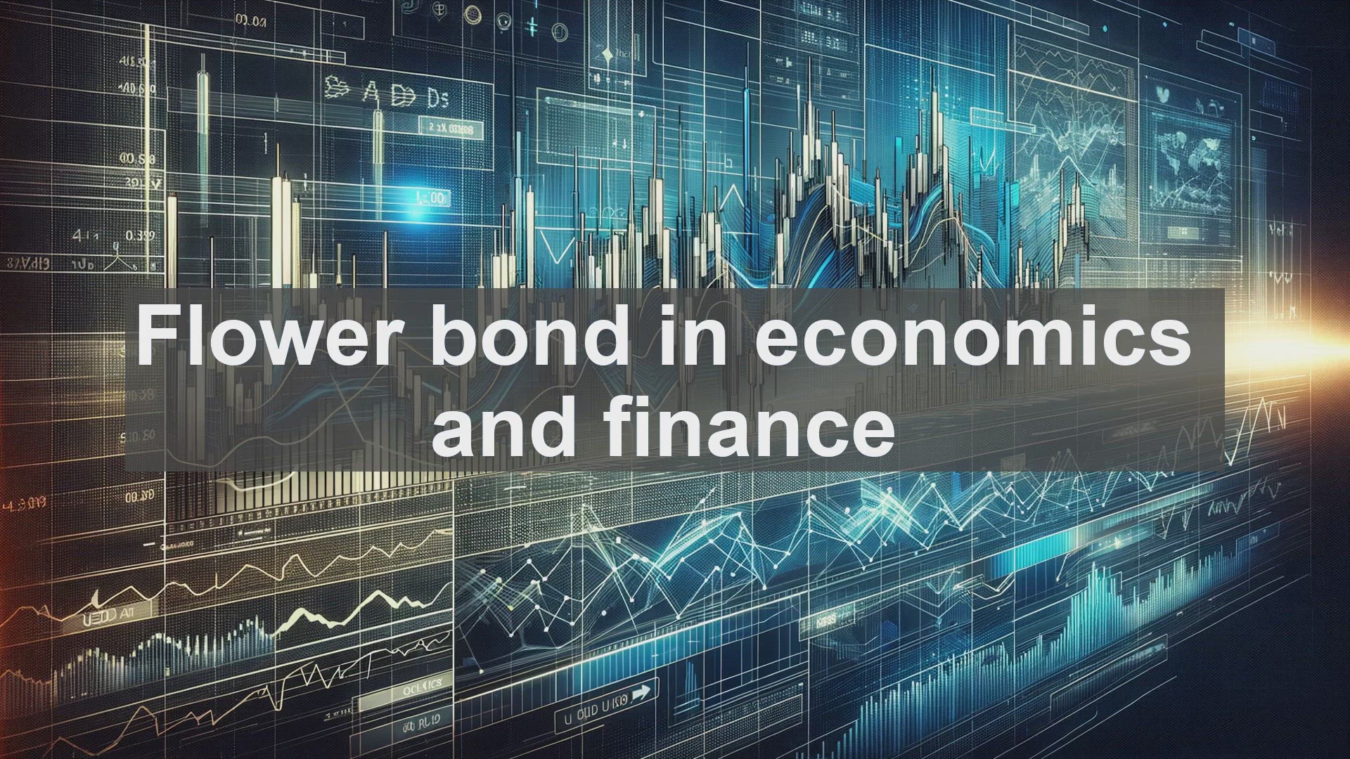 'Video thumbnail for Flower bond in economics and finance'