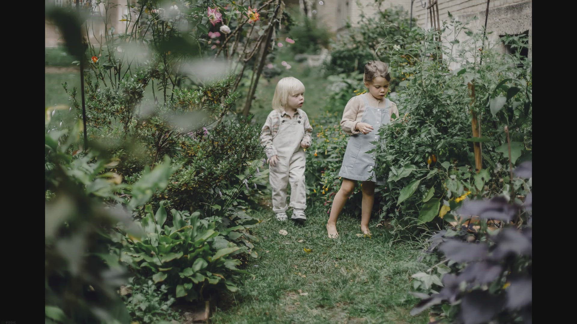 'Video thumbnail for 12 Houseplants Kids Love in Their Play Zone'