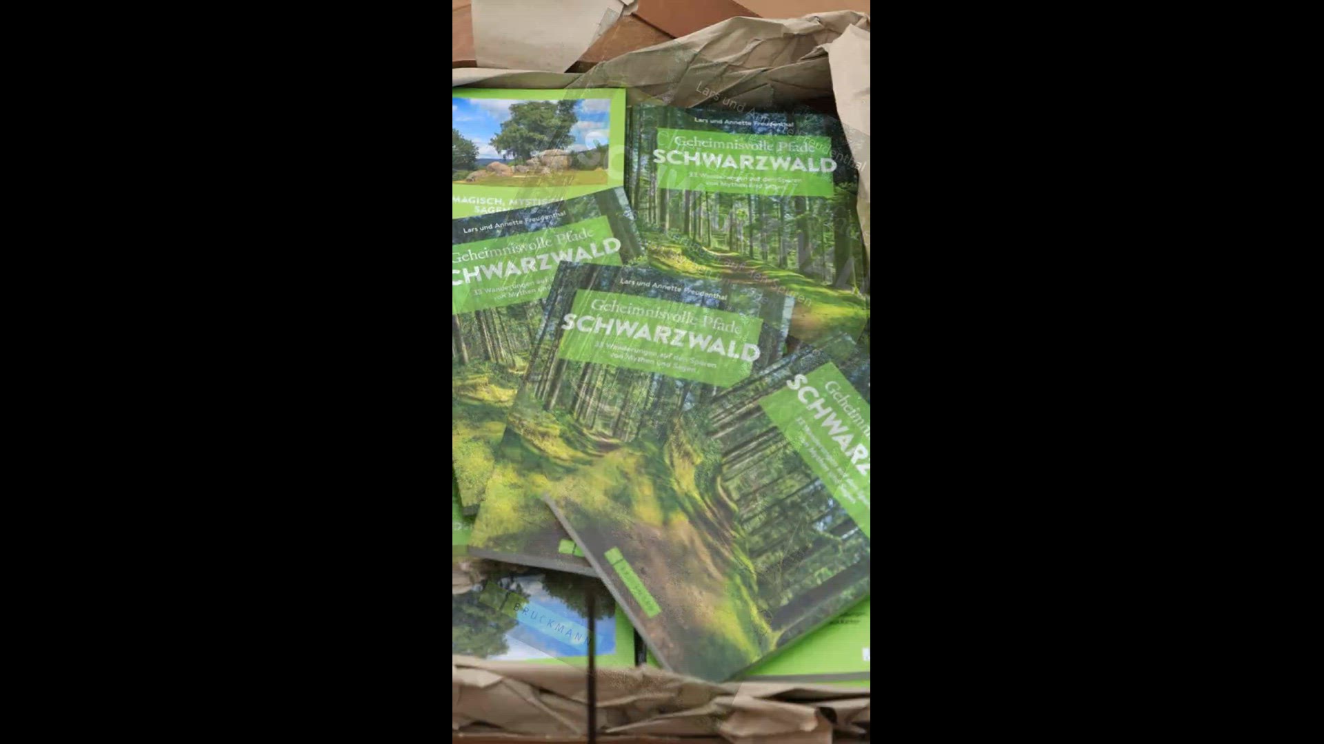 Video thumbnail for Geheimnisvolle Pfade Schwarzwald