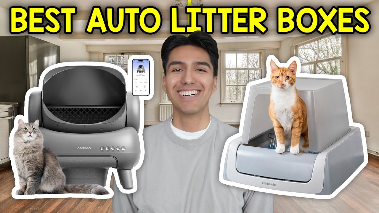 Video thumbnail for I Found The Best Automatic Cat Litterboxes For 2026