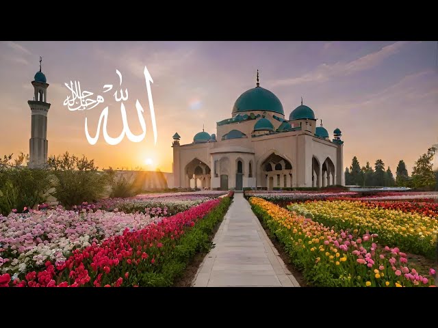 Video thumbnail for اذكار و دعاء الصباح