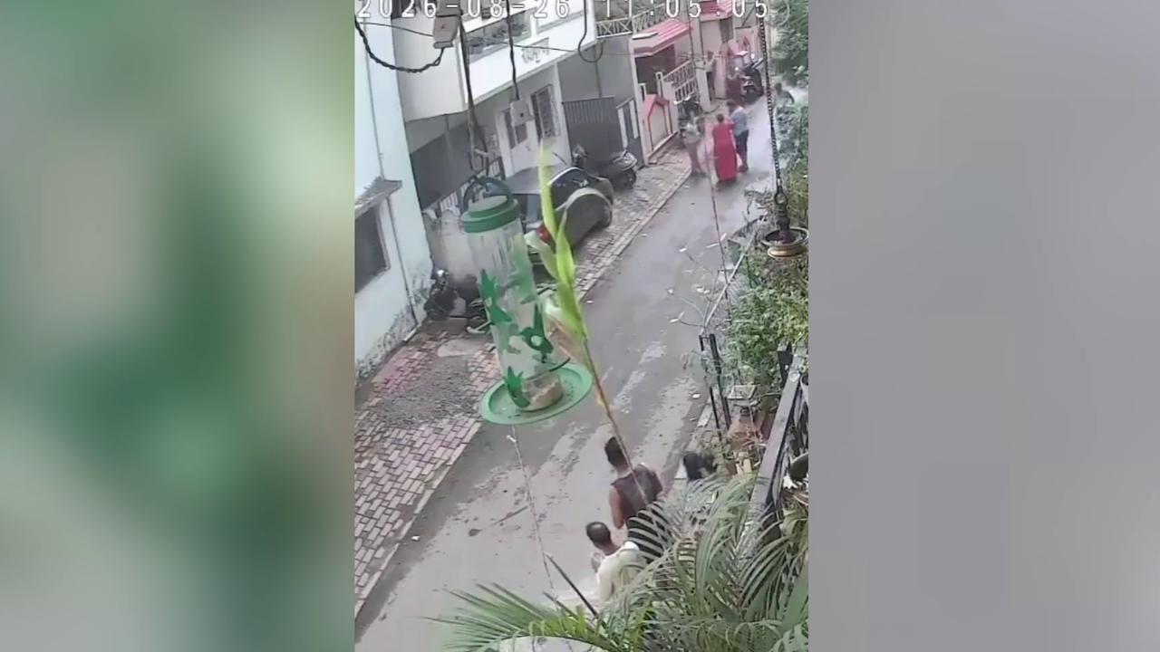 Video thumbnail for India: Stray dog bite leaves woman struggling as toddler slips from her arms, falls onto road during sudden attack.