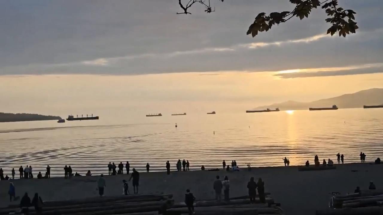 Video thumbnail for Canada: Another Grey Whale Spotted in Vancouver’s English Bay, Drawing Large Crowds.