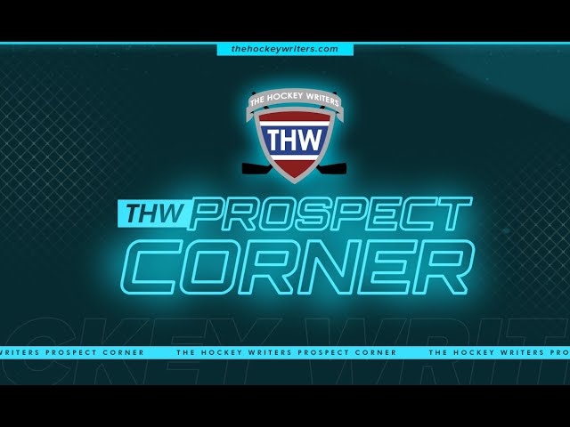 Video thumbnail for 2024 Top 16 NHL Mock Draft 2.0 | THW Prospect Corner