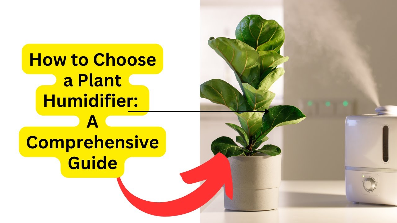 Video thumbnail for How to Choose a Plant Humidifier  A Comprehensive Guide