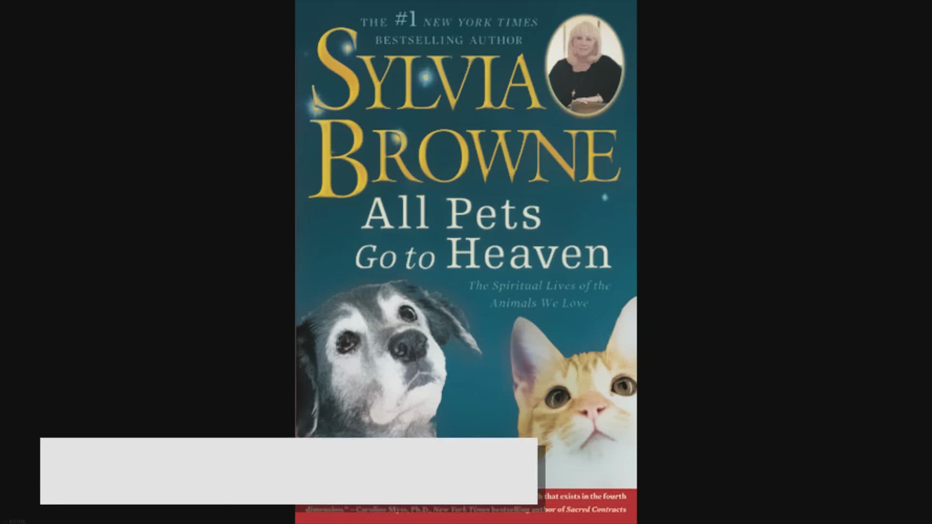 Video thumbnail for All Pets Go To Heaven