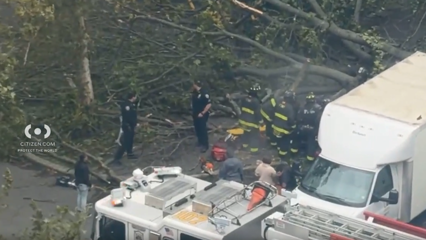 Video thumbnail for NYCHA worker killed by falling tree in East New York