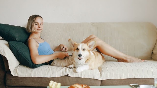 Video thumbnail for 8938188 hd 1920 1080 30fps