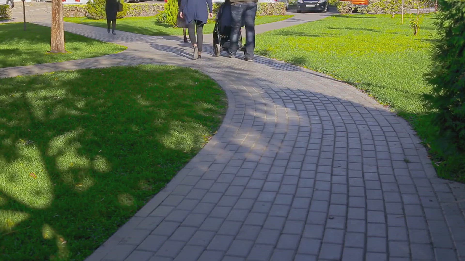 'Video thumbnail for How to Start a New Lawn from Scratch'