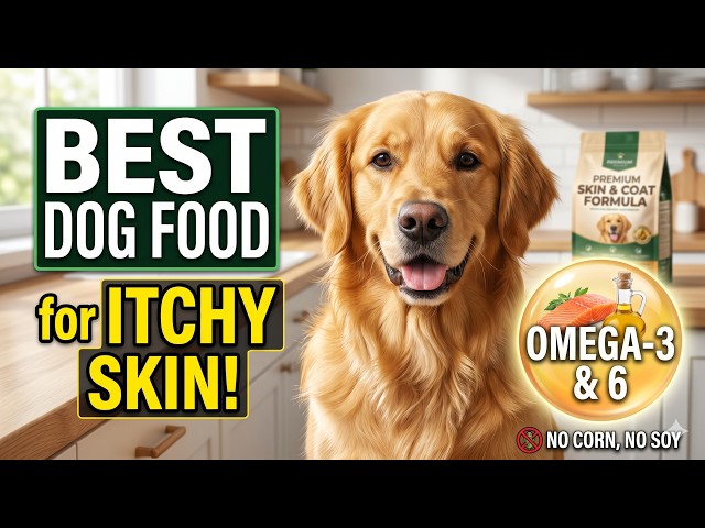 Video thumbnail for Best Dog Food for Itchy Skin: High-Quality Diets for Skin and Coat Relief