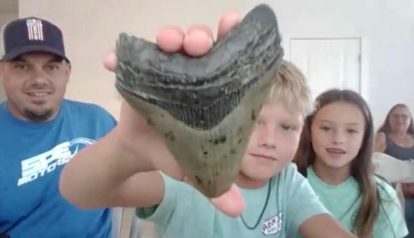 Video thumbnail for Family uncovers 3.5-million-year-old megalodon tooth while searching for shells at Jersey Shore