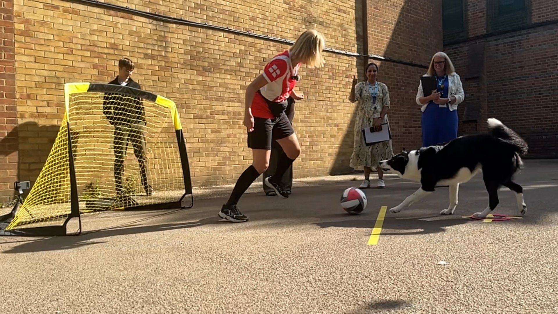 Video thumbnail for Most soccer goals scored by a dog in one minute - 12 by Olga Jones and Simba