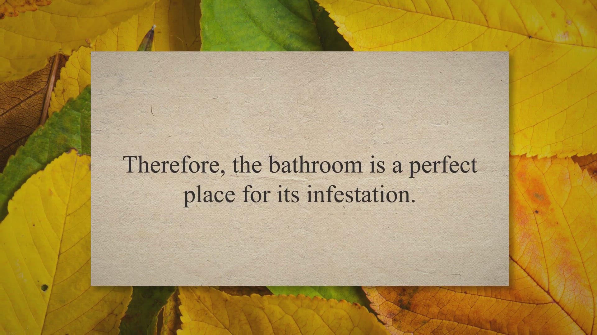 'Video thumbnail for How to Clean Bathroom Black Mold? '