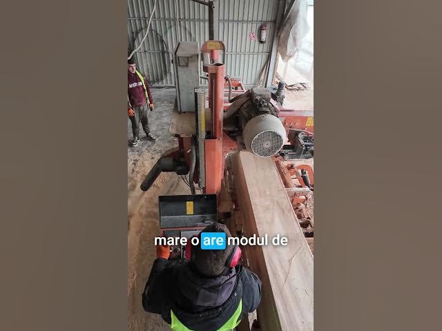 Video thumbnail for Cum tai buștean la -10 grade fără să pierzi randament