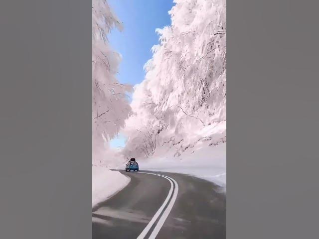 Video thumbnail for fantastic video #shortvideo