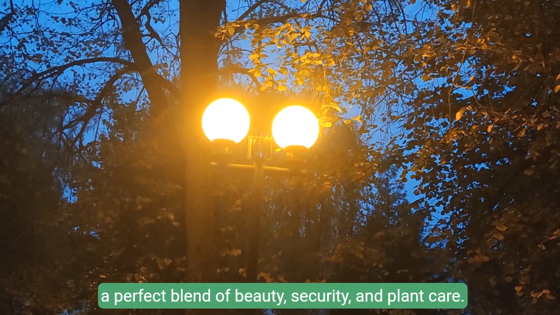 Video thumbnail for Gardening Lights: How to Choose the Best Lighting for Your Garden
