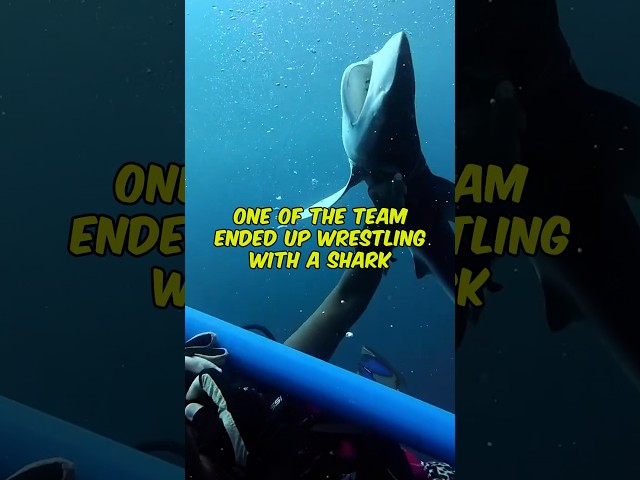 Video thumbnail for Shark Rescue During Decompression on USS Atlanta! 🦈