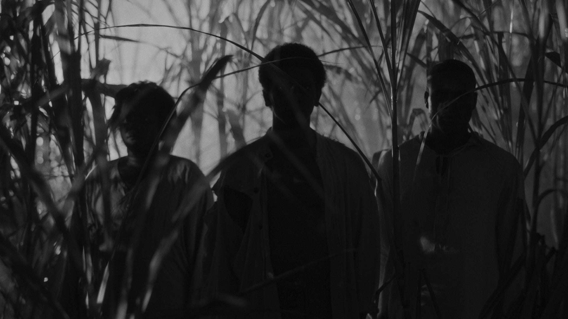 Video thumbnail for Black Zombie - Official U.S. Trailer