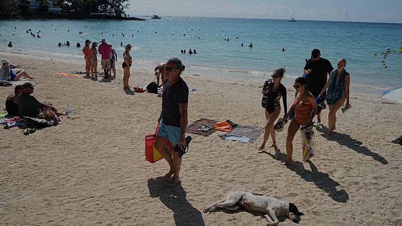 Video thumbnail for Mauritius imposes curfew after police shooting sparks violent protests