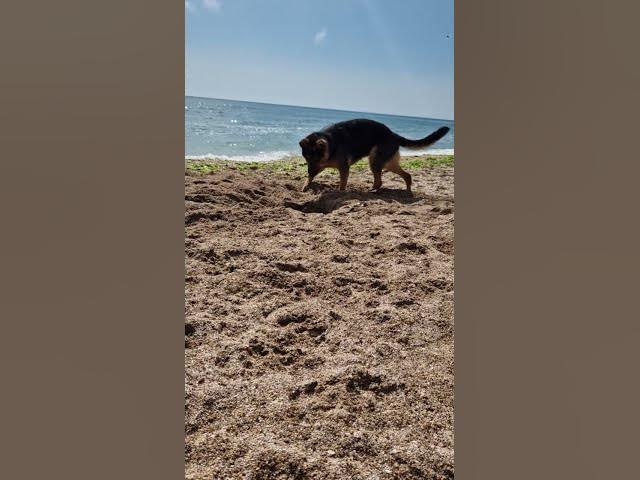 Video thumbnail for hard work