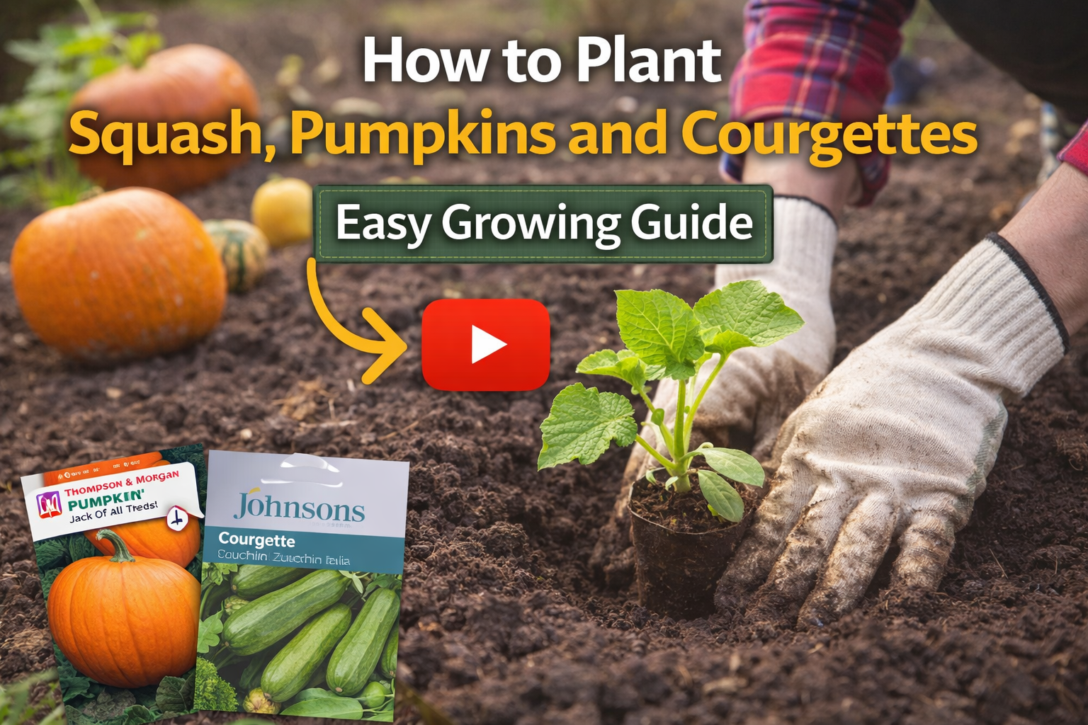 Video thumbnail for How to Plant Squash, Pumpkins and Courgettes | Easy Growing Guide