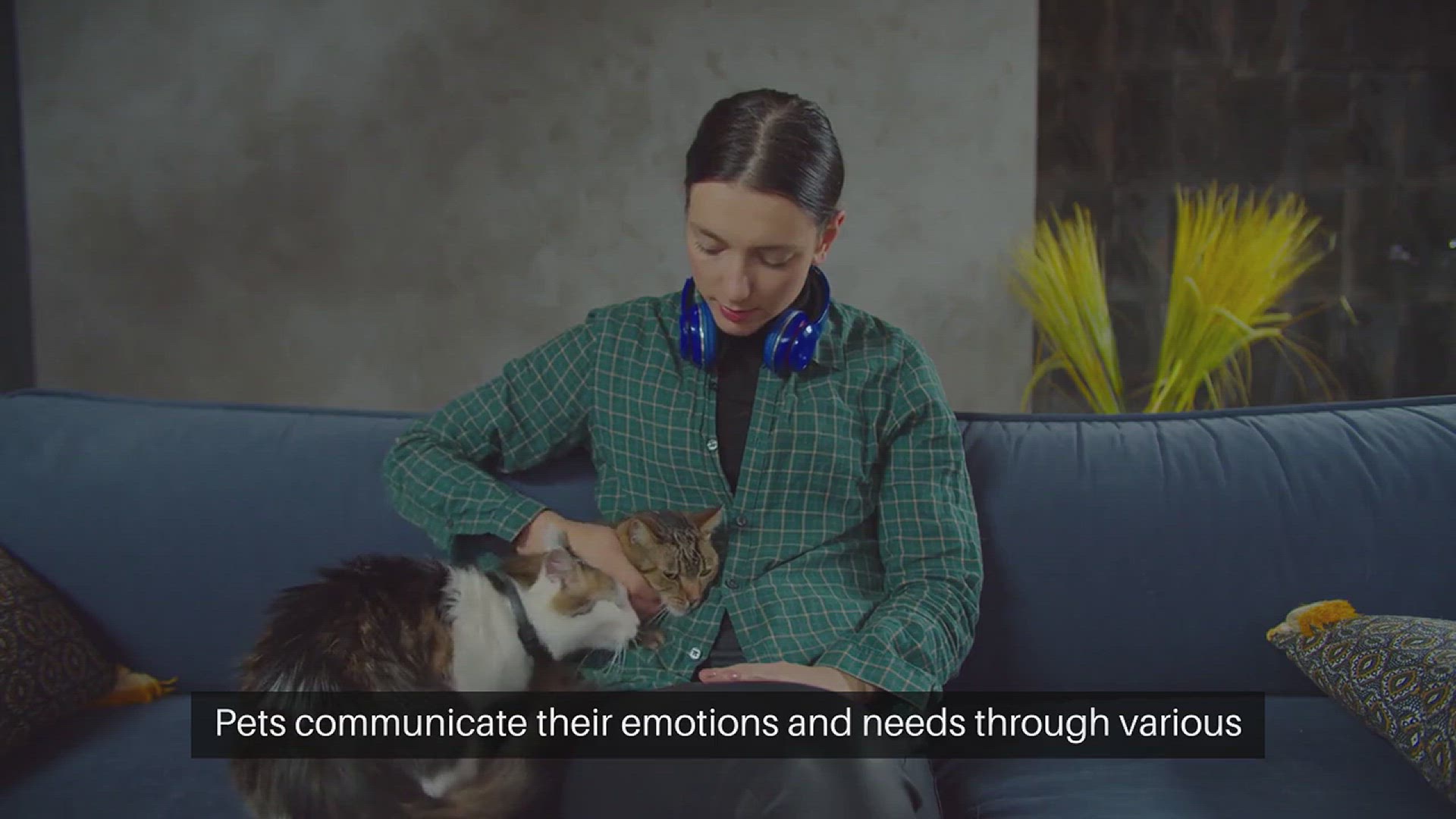 Video thumbnail for Understanding Pet Body Language