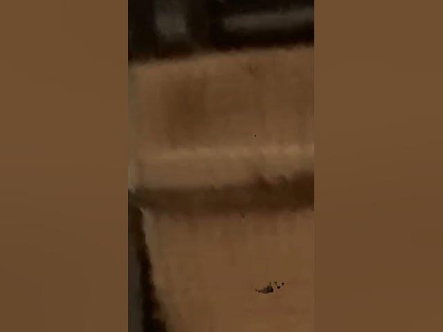 Video thumbnail for June 3, 2025