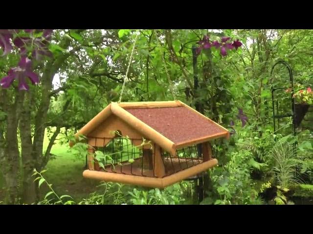Video thumbnail for my garden 2017