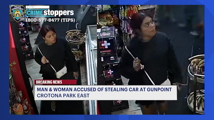 Video thumbnail for Police search for armed duo behind car heist in Crotona Park East