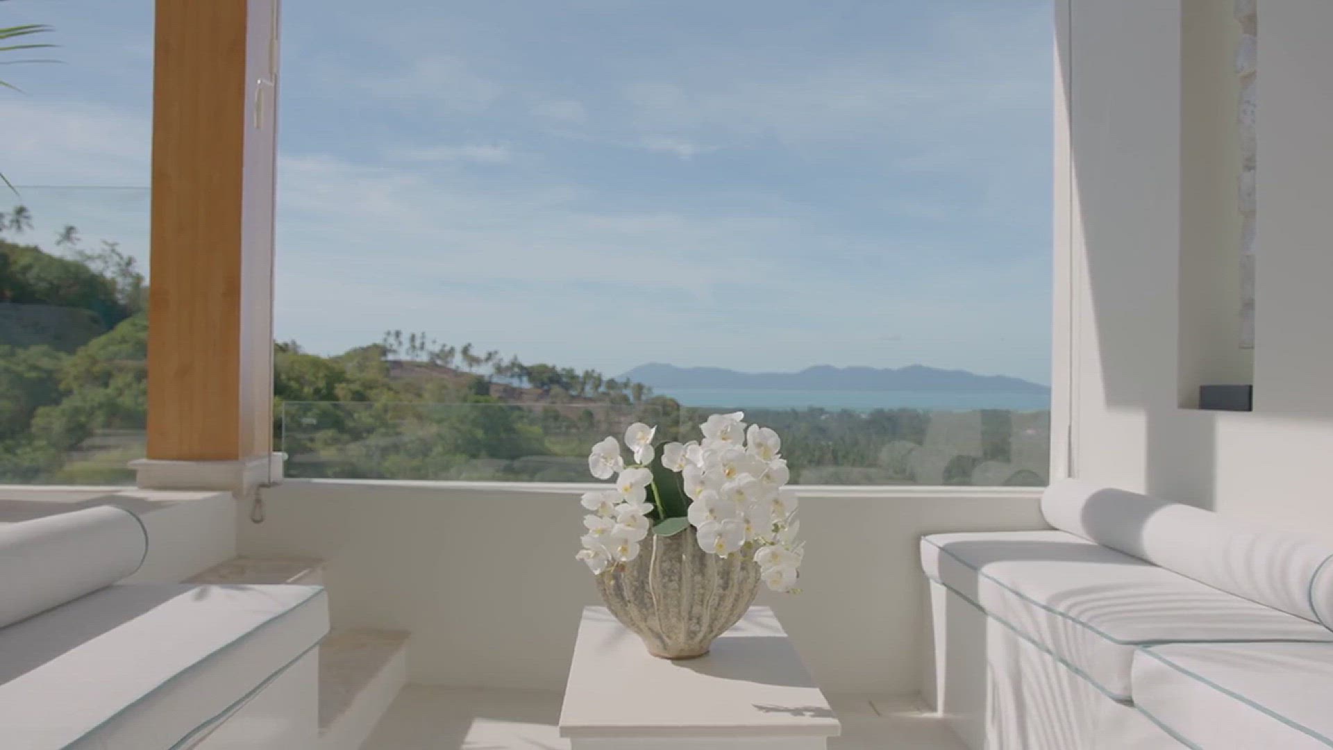 'Video thumbnail for The Best Pink Plants Perfect for a Romantic Room'