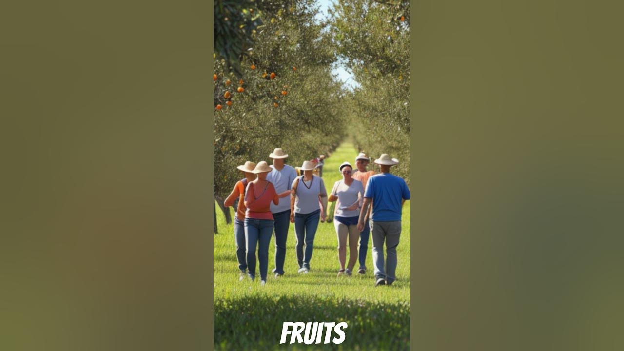 Video thumbnail for Orange Picking For The First Time: Calling all fruit lovers!