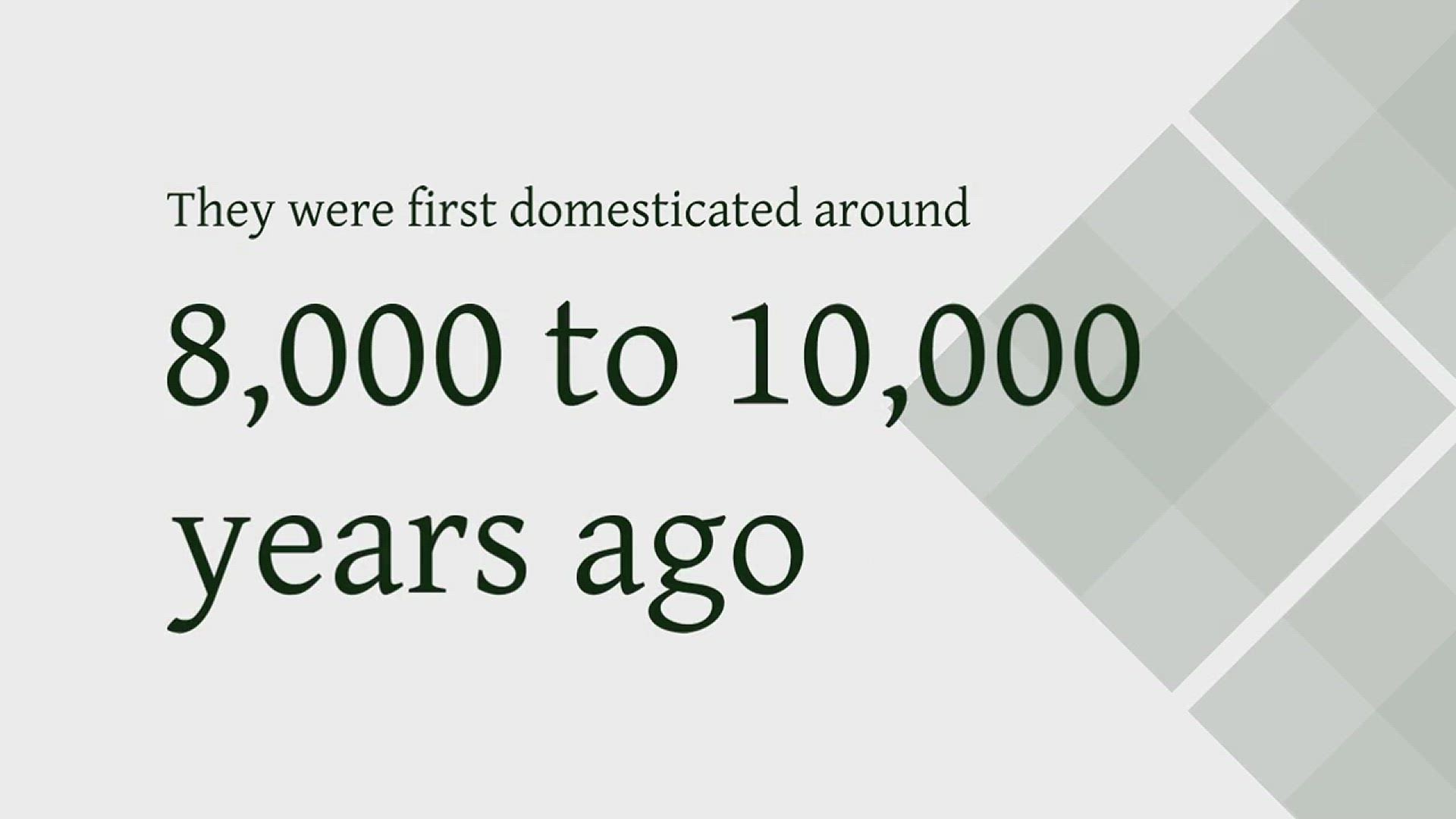 Video thumbnail for How long does it take for a cow to produce a gallon of milk?